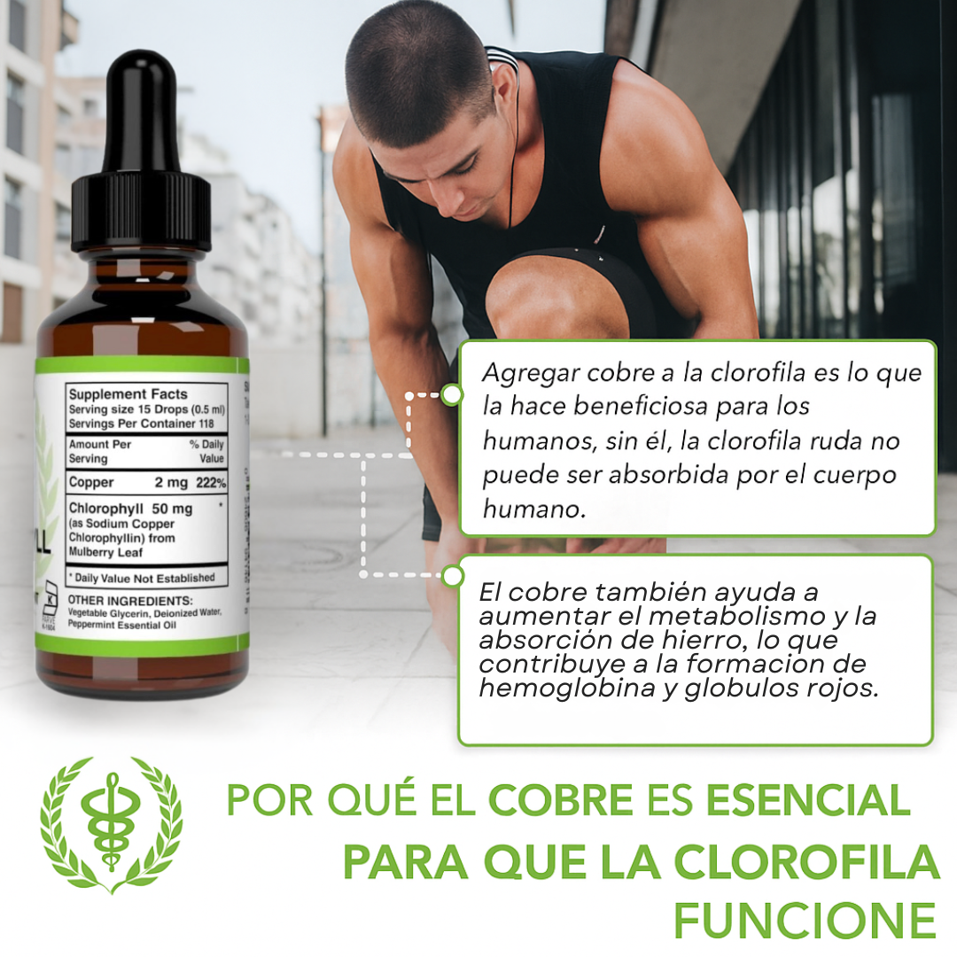 Liquid Chlorophyll🇺🇸- La opción natural para sentirte mejor cada día 🍃🌟