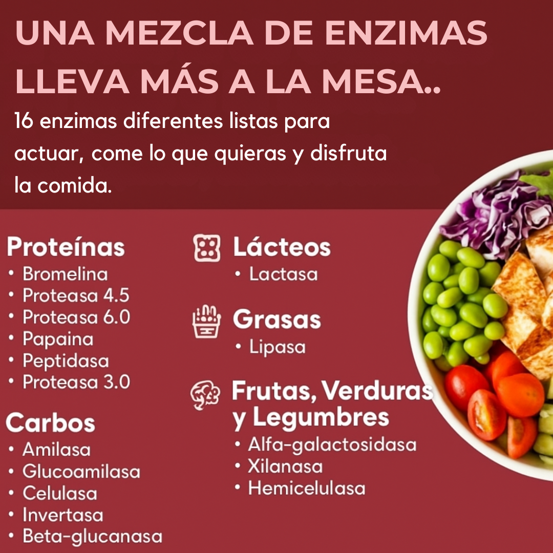 ¡Adiós a la pesadez! Combo digestivo avanzado con enzimas + probióticos Americanos🌟