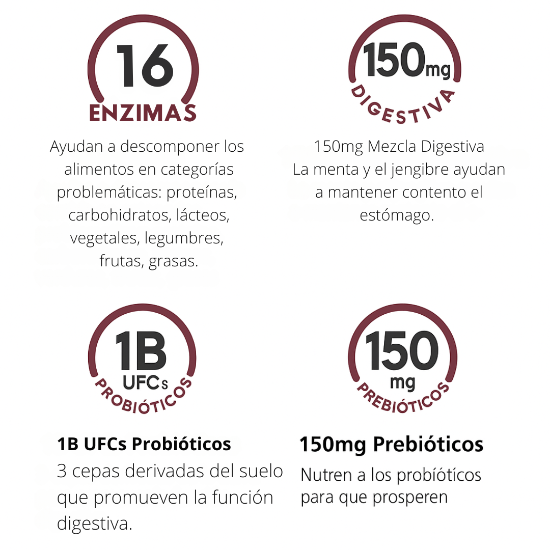 ¡Adiós a la pesadez! Combo digestivo avanzado con enzimas + probióticos Americanos🌟