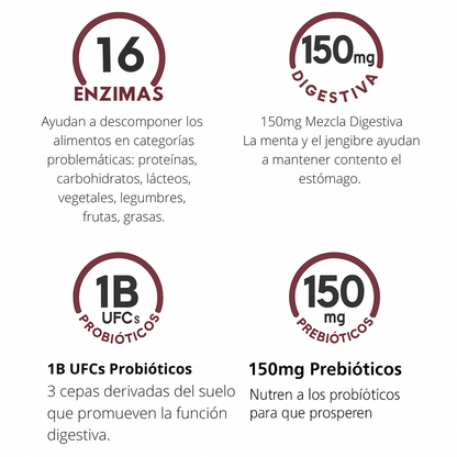 ¡Adiós a la pesadez! Combo digestivo avanzado con enzimas + probióticos Americanos🌟