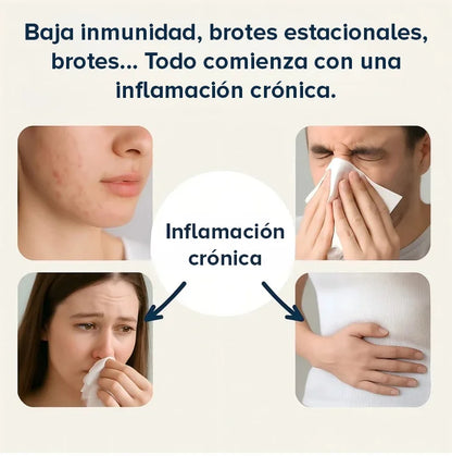 Orégano Premium en cápsulas blandas🇺🇸- Antioxidantes y bienestar en cápsulas