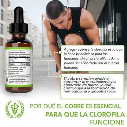 Liquid Chlorophyll🇺🇸- La opción natural para sentirte mejor cada día 🍃🌟