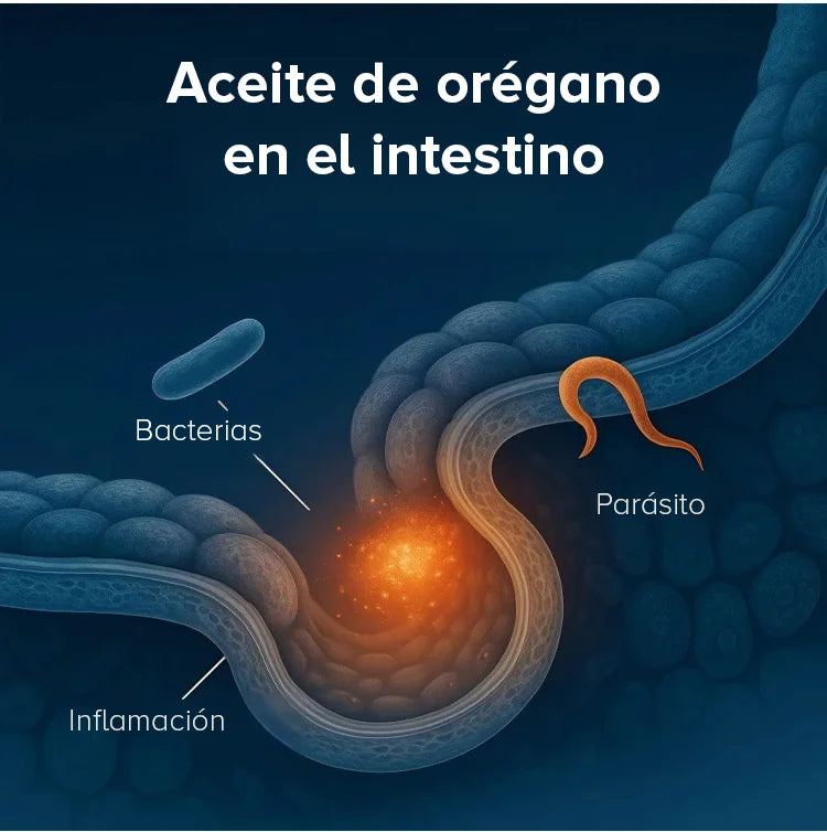Orégano Premium en cápsulas blandas🇺🇸- Antioxidantes y bienestar en cápsulas