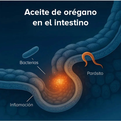 Orégano Premium en cápsulas blandas🇺🇸- Antioxidantes y bienestar en cápsulas