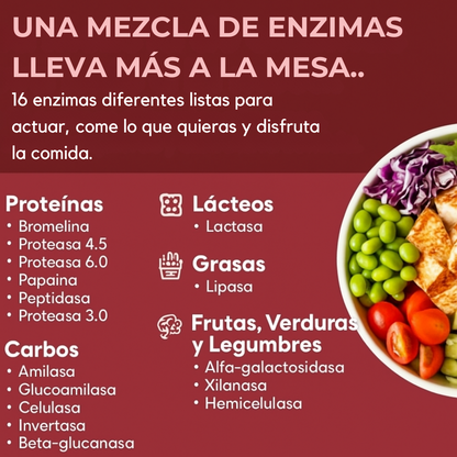 ¡Adiós a la pesadez! Combo digestivo avanzado con enzimas + probióticos Americanos🌟