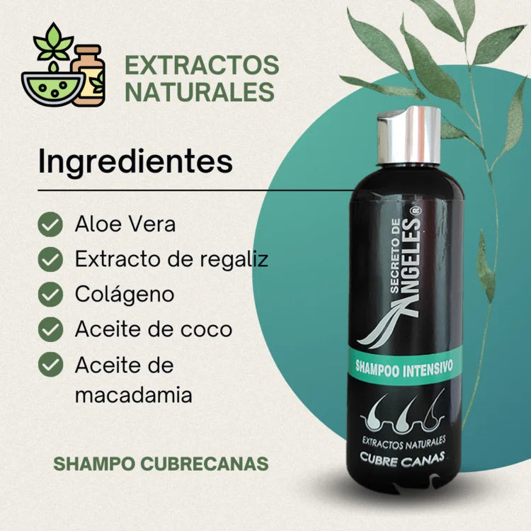 CUBRE CANAS®: SHAMPOO NATURAL PREMIUM + TRATAMIENTO Y OBSEQUIO🎁
