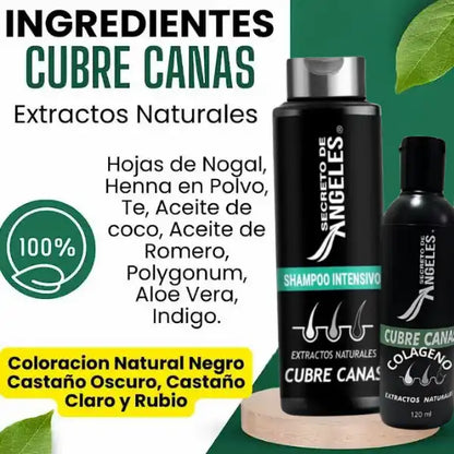 CUBRE CANAS®: SHAMPOO NATURAL PREMIUM + TRATAMIENTO Y OBSEQUIO🎁