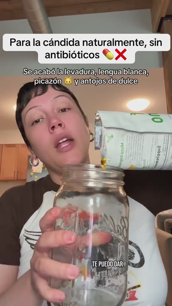 Cargar video: 