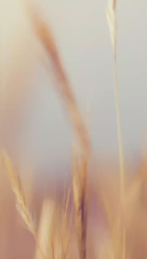 Cargar video: 